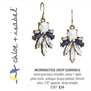 Chloe and Isabel earrings